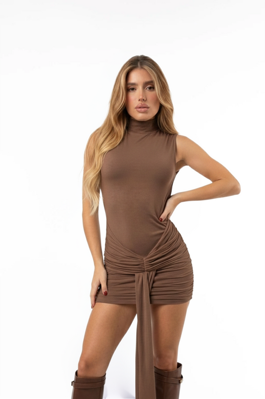 ALASKA BROWN MINI DRESS